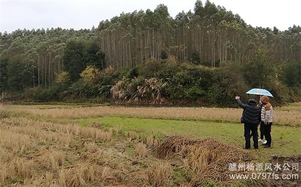 衡水市陈老师带着爱徒寻龙点穴